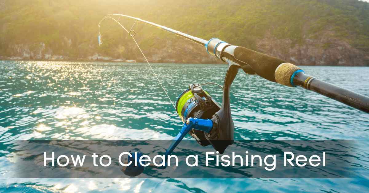 How to Clean a Fishing Reel