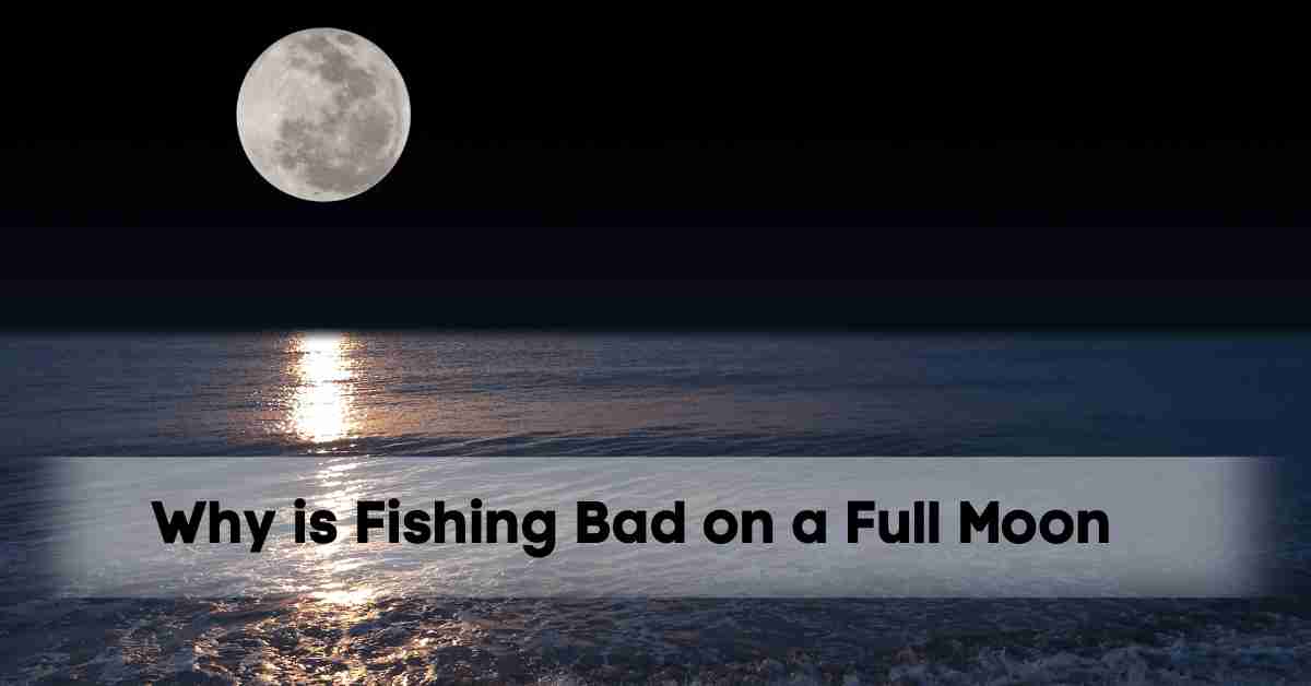 Why is Fishing Bad on a Full Moon?