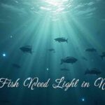 Do Fish Need Light at Night?