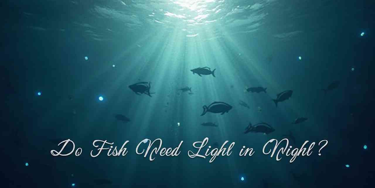 Do Fish Need Light at Night?